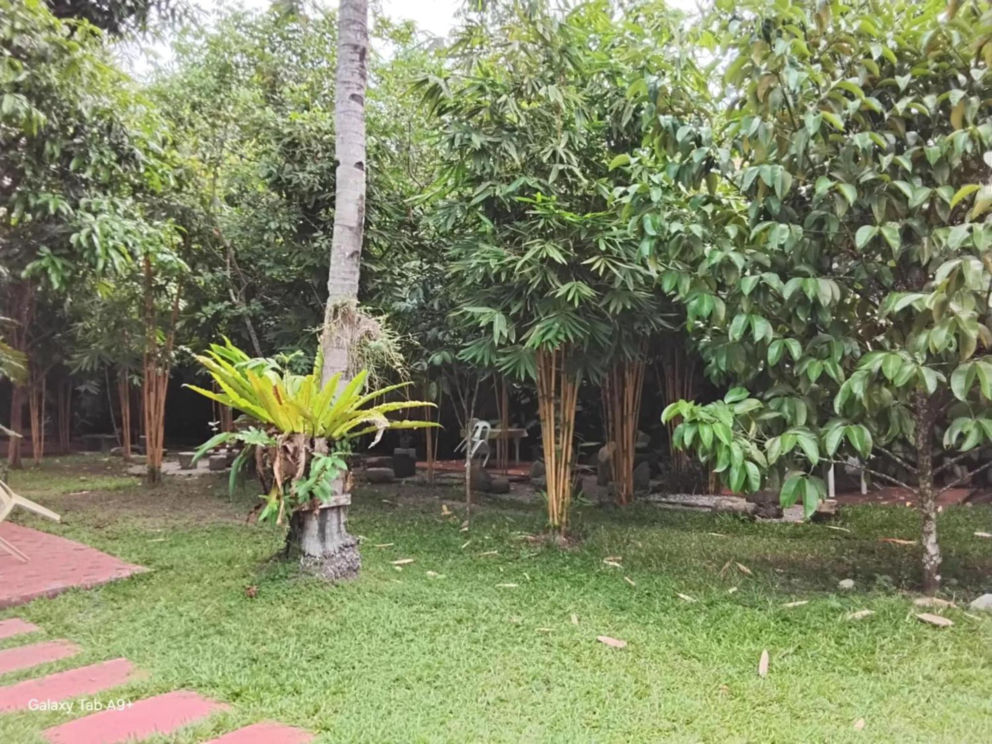 Camiguin Lanzones Resort Mambajao Exteriér fotografie